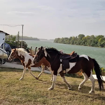 зона Къща за гости Свищов